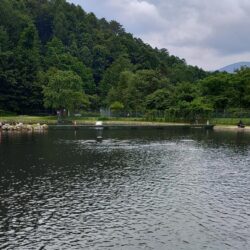 夏が来た！ ～平谷湖フィッシングスポット～
